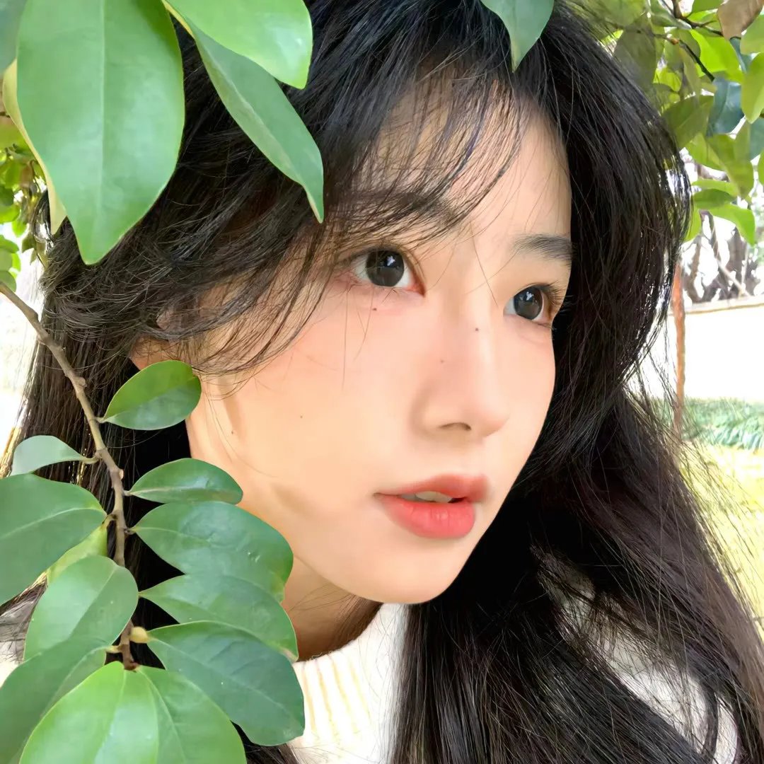 无为大师第三季